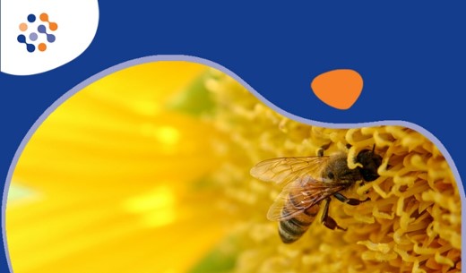 Residui di streptomicina nel miele: sensibilità validata fino a 1 ppb Residui di streptomicina nel miele: sensibilità validata fino a 1 ppb