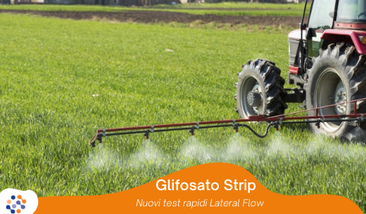 Glyphosate test strip