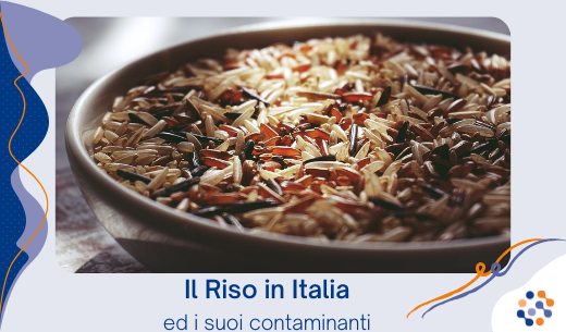 Il riso in Italia Il riso in Italia