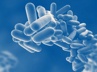 È disponibile il nuovo kit BACGene Legionella Multiplex