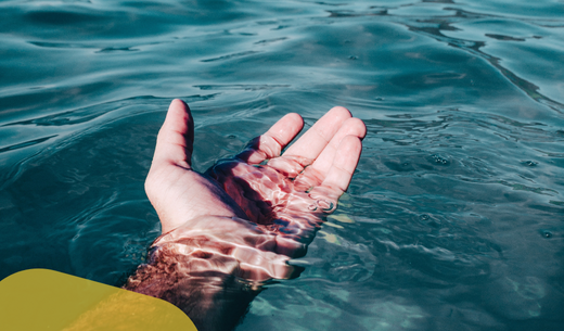 Microcistine nell'acqua: Gold Standard Diagnostics si prepara con voi per l’estate 