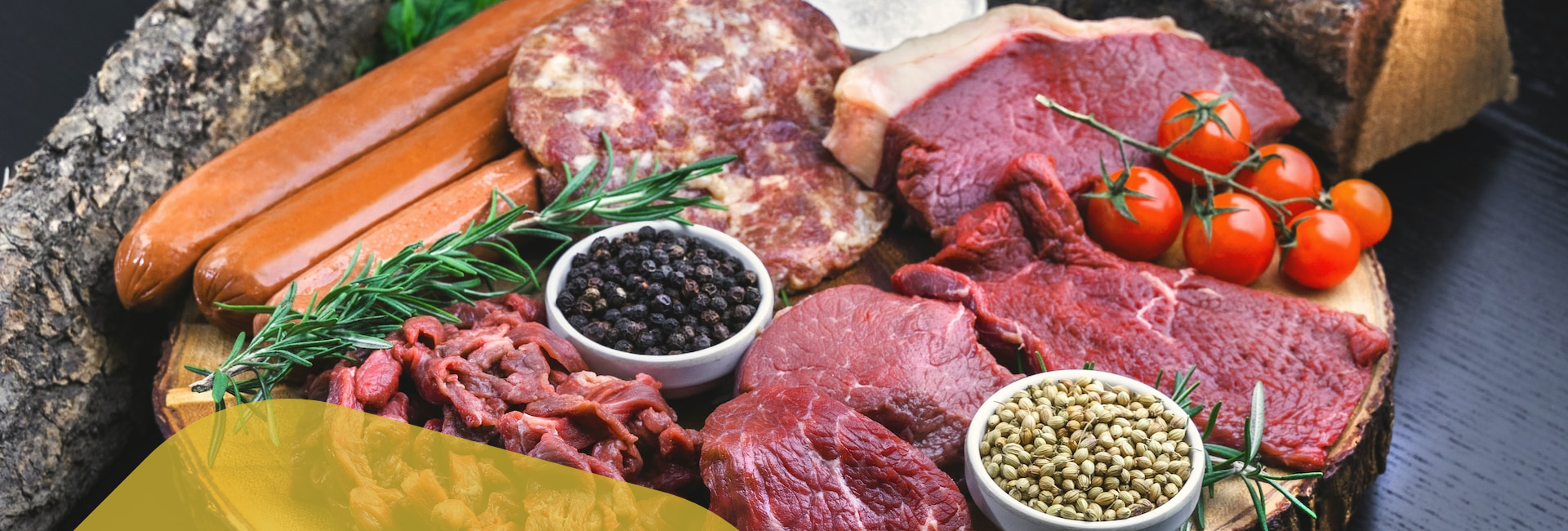 Specie Animali Specie Animali