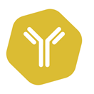 VetLine Borrelia VetLine Borrelia