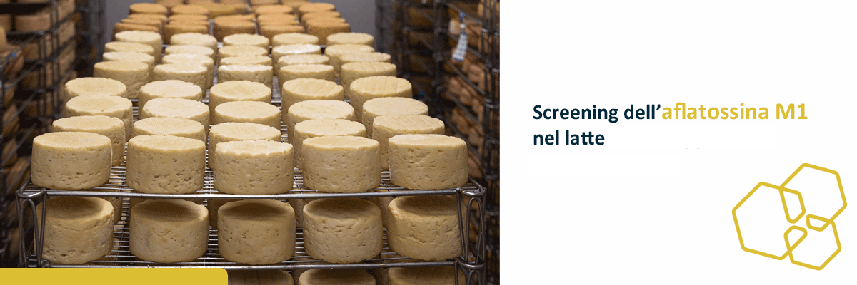 I'Screen AFLA M1 milk