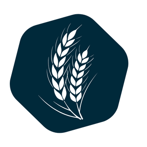 Mycotoxins screening kits