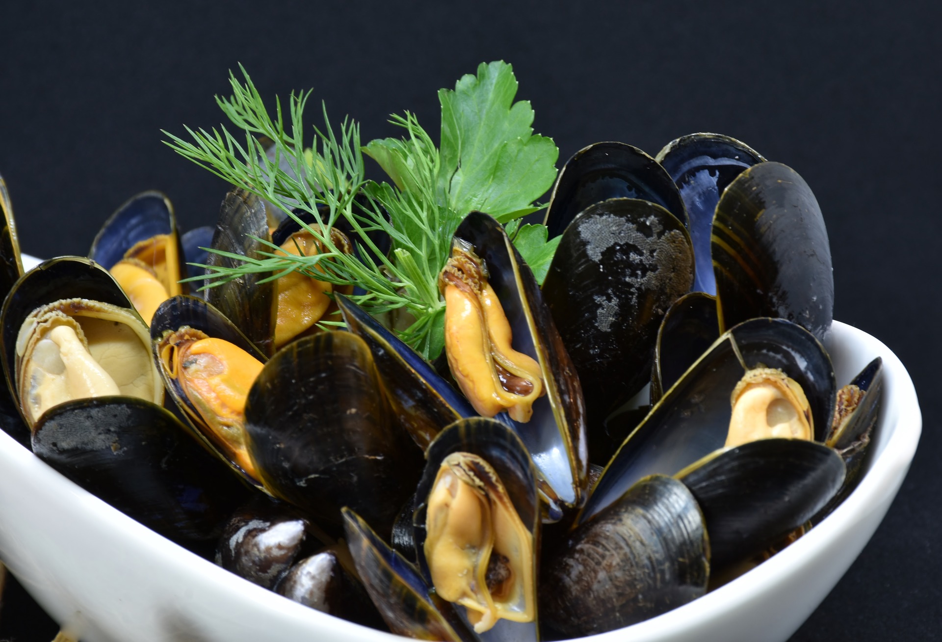 Biotossine algali: sospesa la raccolta delle cozze nel Golfo di Trieste Biotossine algali: sospesa la raccolta delle cozze nel Golfo di Trieste
